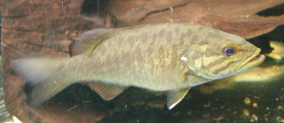 e0092190_2041278.jpg