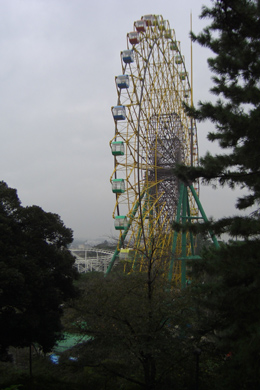 d0000995_20274529.jpg