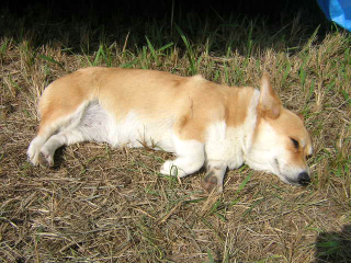 b0013897_2329931.jpg