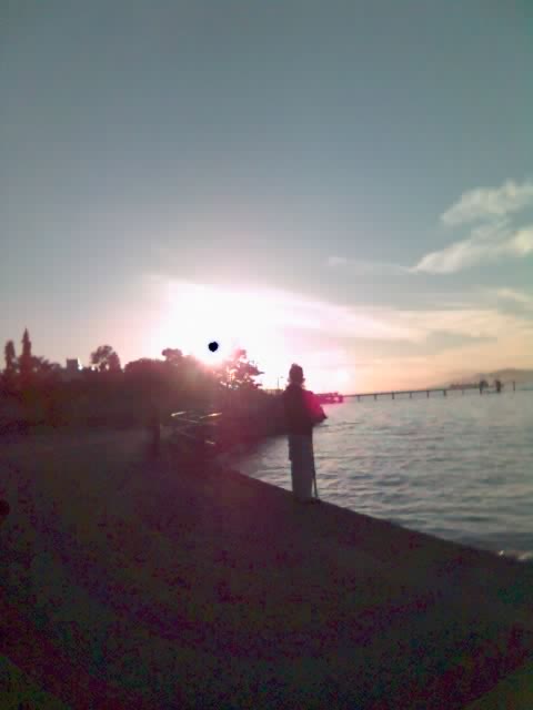 b0058997_1657648.jpg