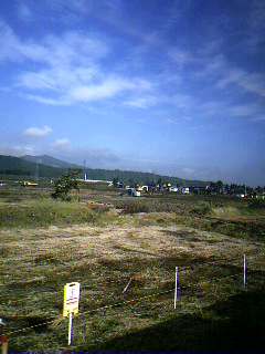 d0035104_1033879.jpg