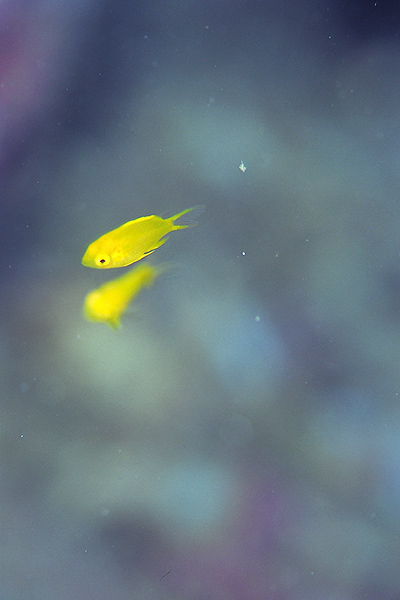 c0064907_2045130.jpg