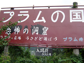 b0034912_0284072.jpg