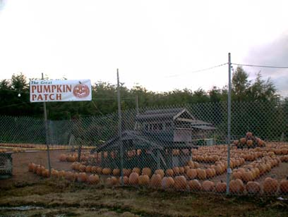 c0018716_1655175.jpg