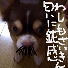 c0036617_11253389.jpg
