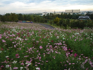 d0023323_06273.jpg