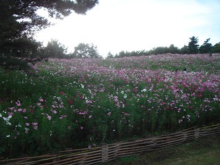 d0023323_06710.jpg