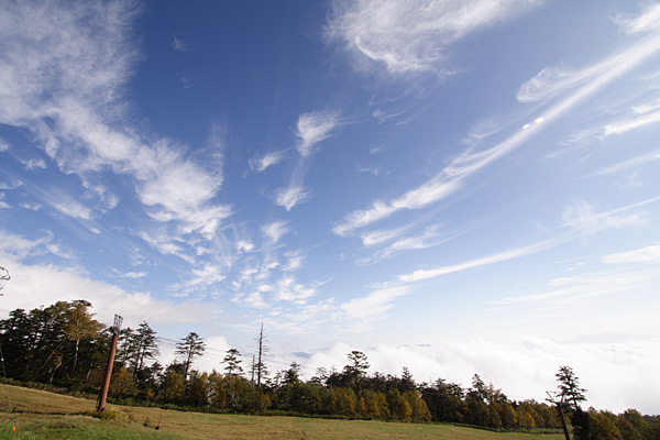 e0025930_15441372.jpg