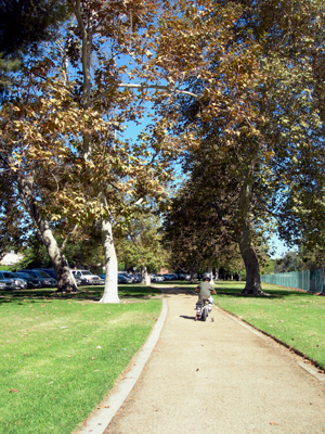 e0077840_4204929.jpg