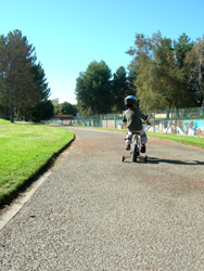 e0077840_4265224.jpg