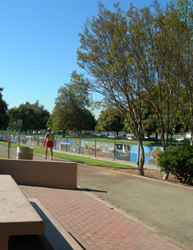 e0077840_427406.jpg