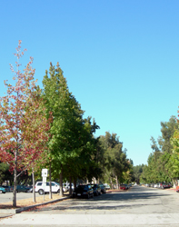e0077840_4284673.jpg
