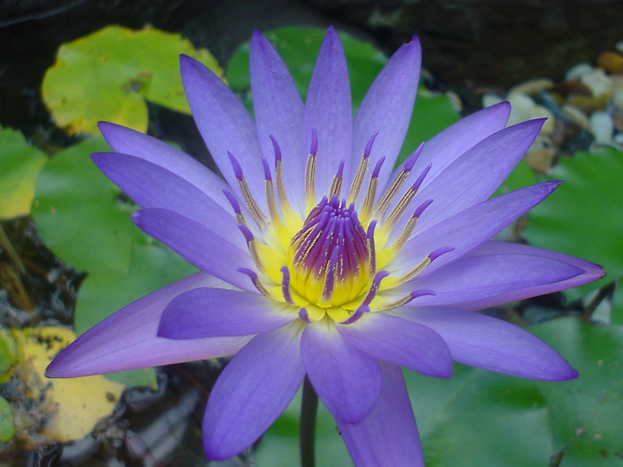 b0016043_2293053.jpg