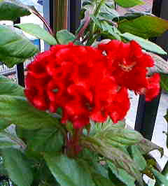 e0065350_1615258.jpg