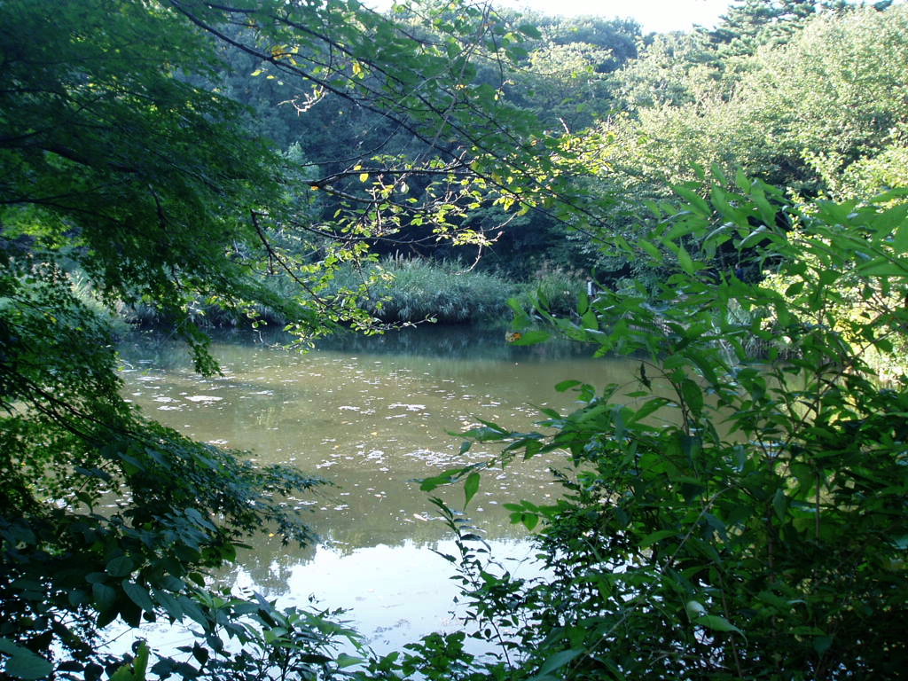 e0064158_093230.jpg