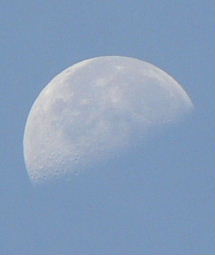 b0015260_10303024.jpg