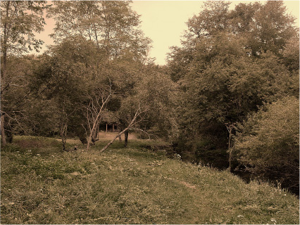 e0066861_1534644.jpg