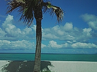 b0013870_1735959.jpg