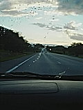 b0013870_21111368.jpg