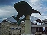 b0013870_2125547.jpg