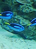 b0013870_215248.jpg