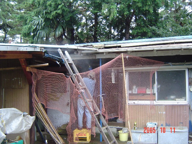 d0007071_1771332.jpg