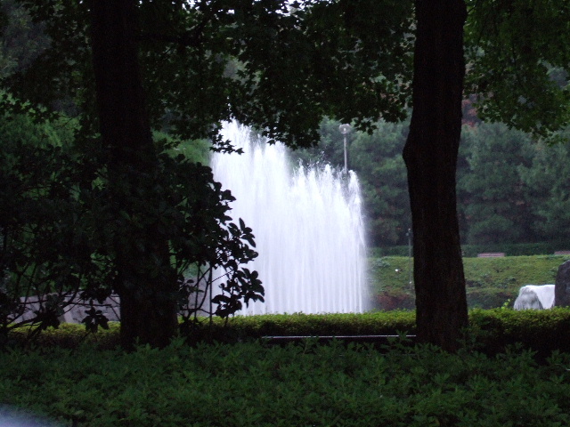b0043980_90567.jpg