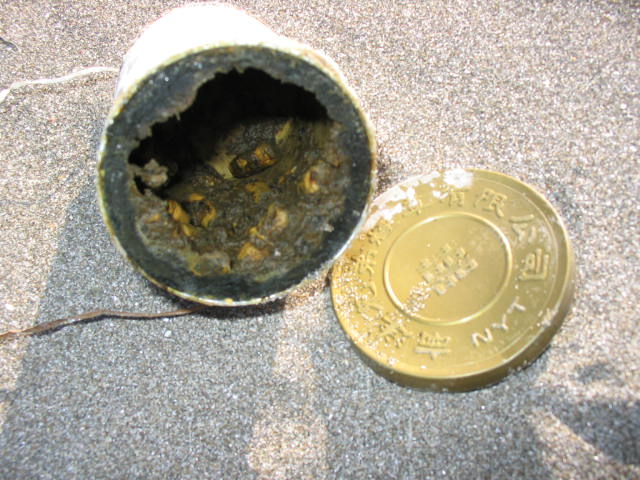 e0028485_1273498.jpg
