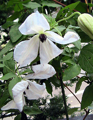 c0016987_2124154.jpg