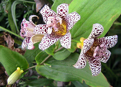 c0016987_212549.jpg