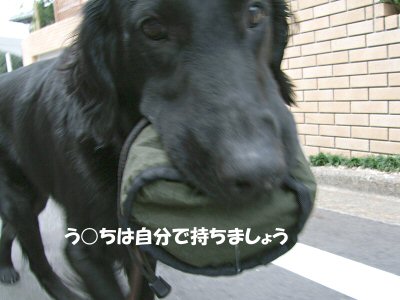 c0050400_1824359.jpg