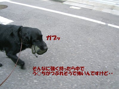 c0050400_18262186.jpg