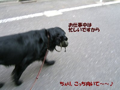 c0050400_18344059.jpg