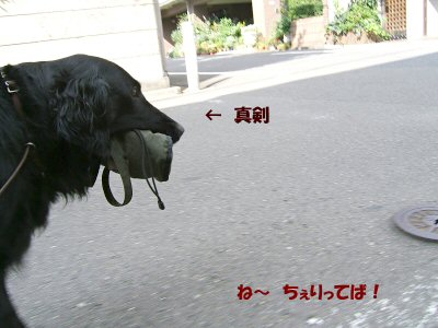 c0050400_18371421.jpg