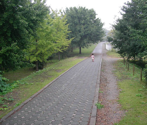 e0064400_0565550.jpg