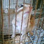 c0000111_21505443.jpg