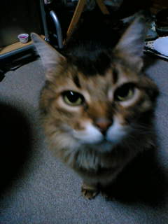 e0063317_127892.jpg