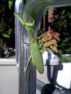 e0091220_17122669.jpg