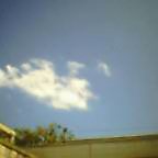 c0050522_16383647.jpg