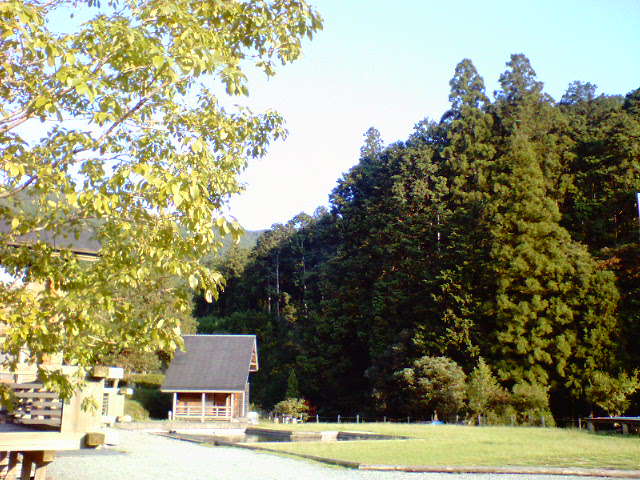 d0048332_23173339.jpg