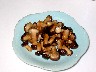e0048933_17525341.jpg