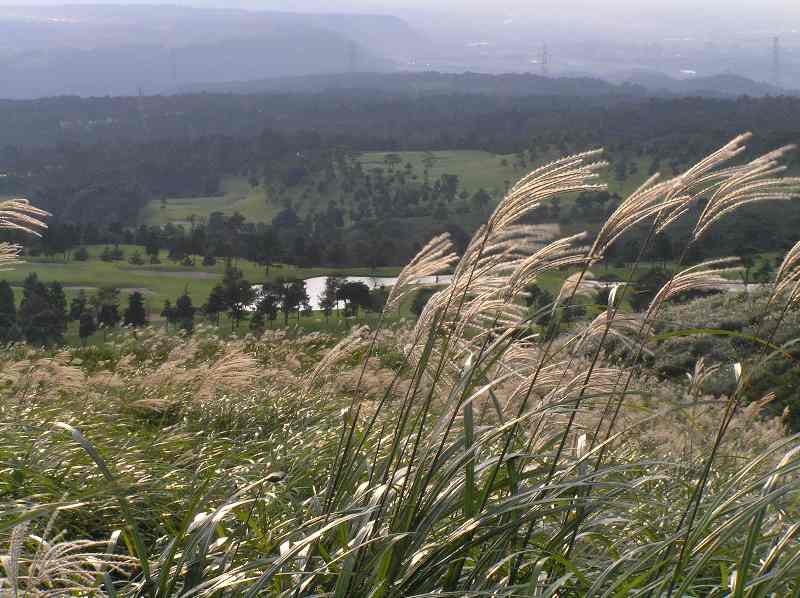 e0077041_11195776.jpg