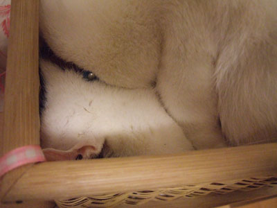 c0048042_22303138.jpg