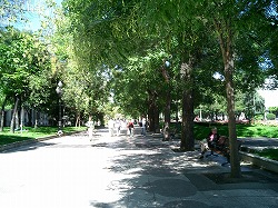 b0031950_18325374.jpg