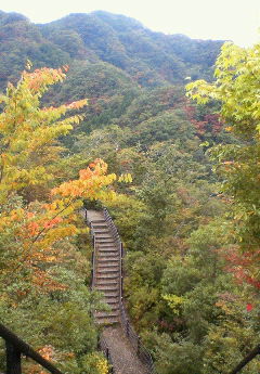 e0020655_20102378.jpg