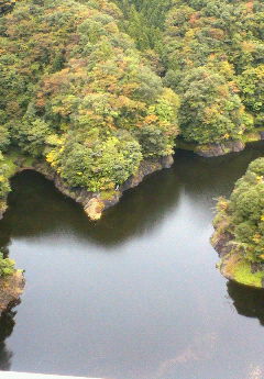 e0020655_2065723.jpg