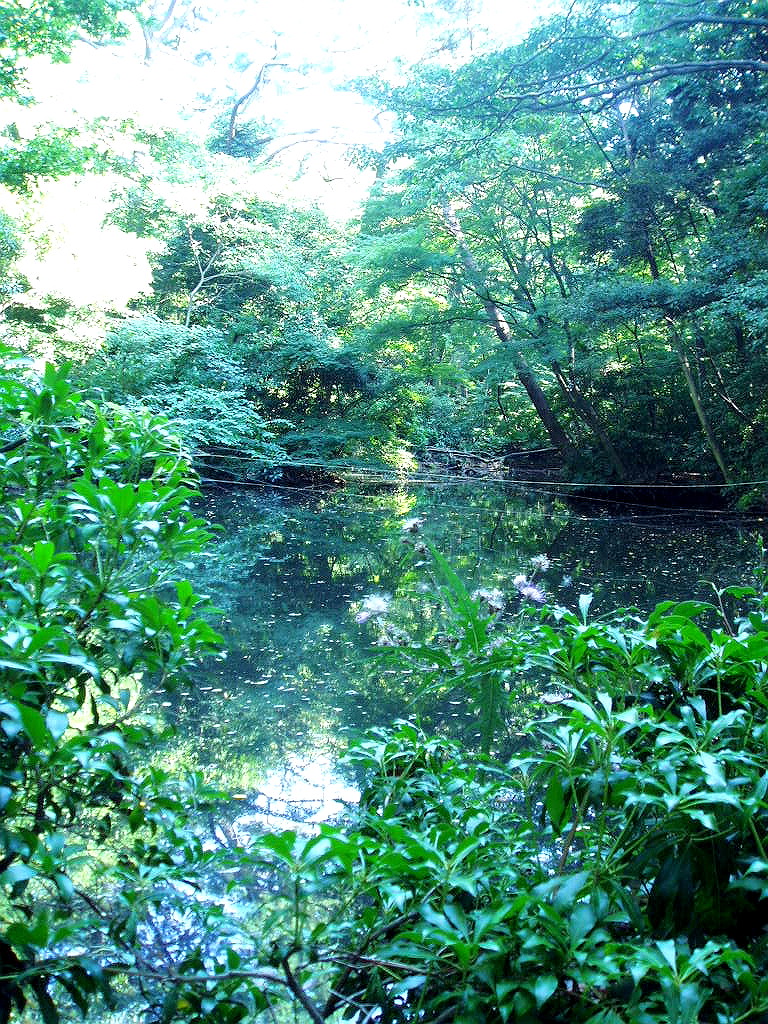 e0064158_064729.jpg
