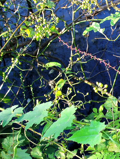 e0064158_071034.jpg