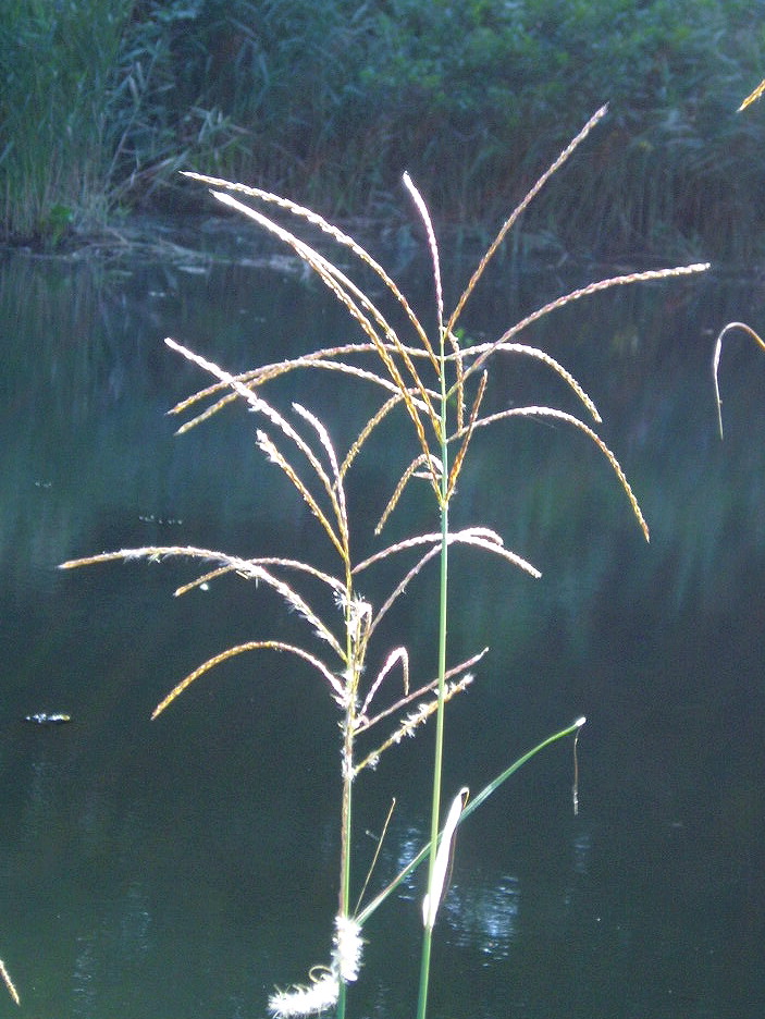 e0064158_083925.jpg