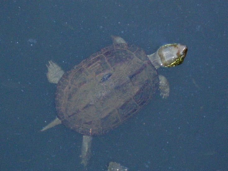 e0064158_2354761.jpg